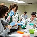 Stetson Students working on lab project